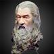 30cm The Lord Of The Rings Gandalf Painted Bust Statue The Hobbit Painted Ver