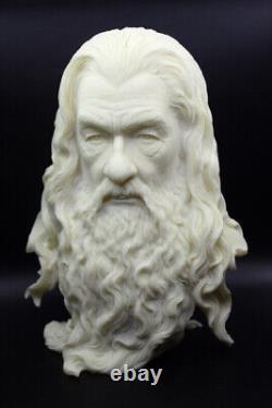 Gandalf Bust The Lord of the Rings Statue Figure The Hobbit Customized Version