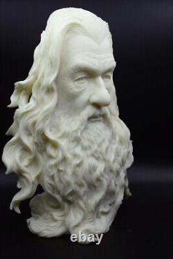 Gandalf Bust The Lord of the Rings Statue Figure The Hobbit Customized Version