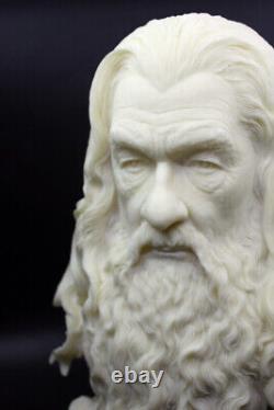 Gandalf Bust The Lord of the Rings Statue Figure The Hobbit Customized Version