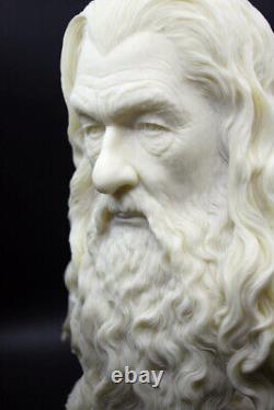 Gandalf Bust The Lord of the Rings Statue Figure The Hobbit Customized Version