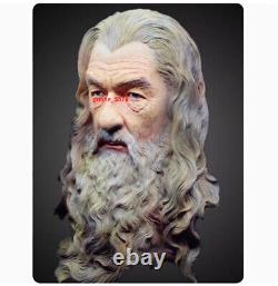 Gandalf Painted Bust The Lord of the Rings Statue 30cm The Hobbit Painted Ver