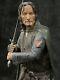 Sideshow Weta Lotr Lord Rings'aragorn Son Of Arathorn' Limited Ed. Statue! L@@k