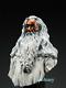 The Lord Of The Rings Gandalf Bust Statue Bronze Figure 16cm Collect Ornament